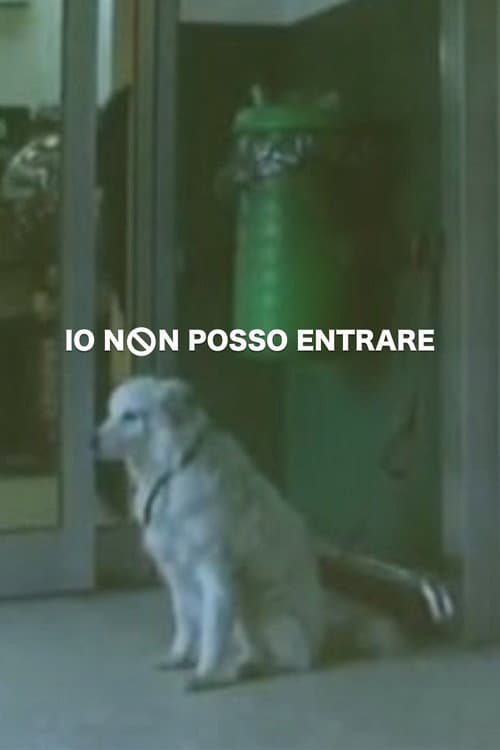 Poster for Io non posso entrare