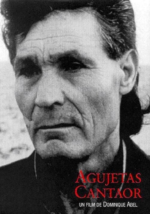 Poster for Agujetas Cantaor
