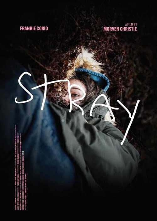Poster for Stray