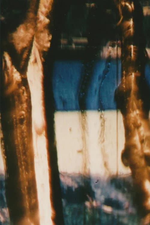 Poster for Picture Particles