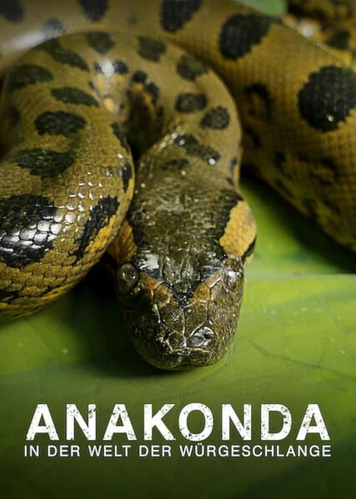 Poster for Anaconda: Silent Killer