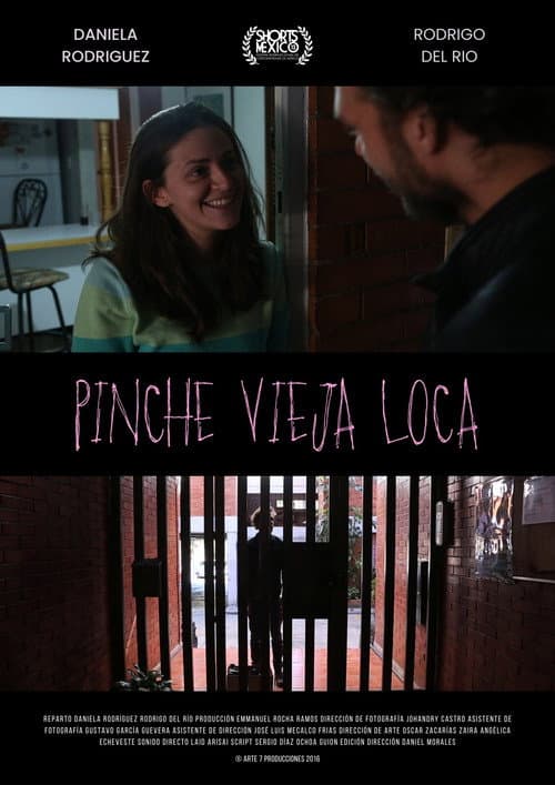 Poster for Pinche Vieja Loca