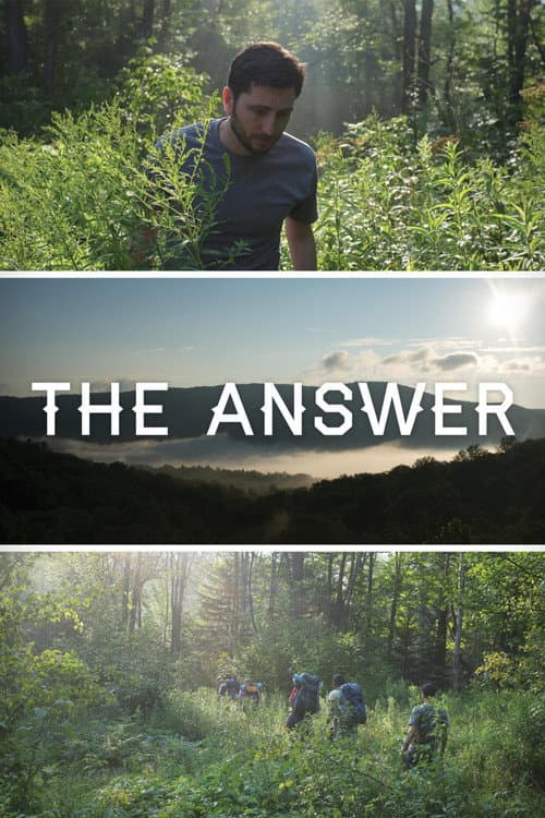 Poster for The Answer