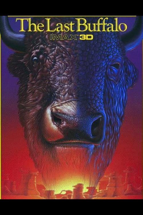 Poster for The Last Buffalo