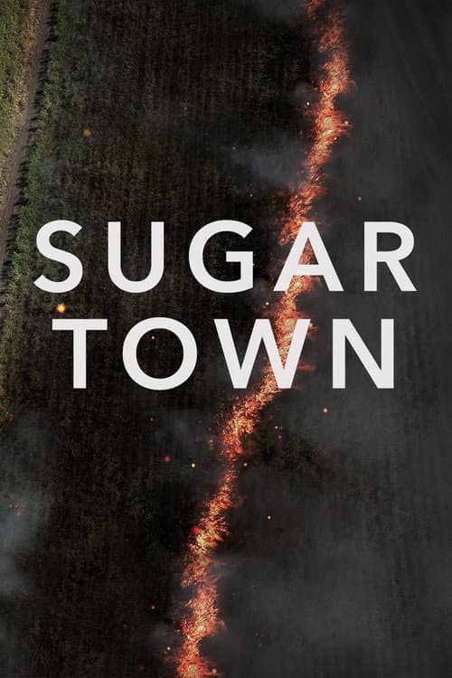 Poster for Sugar Town
