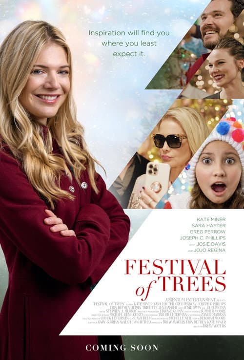 Poster for Festival of Trees