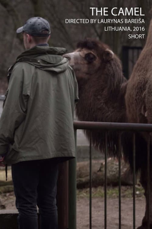 Poster for The Camel