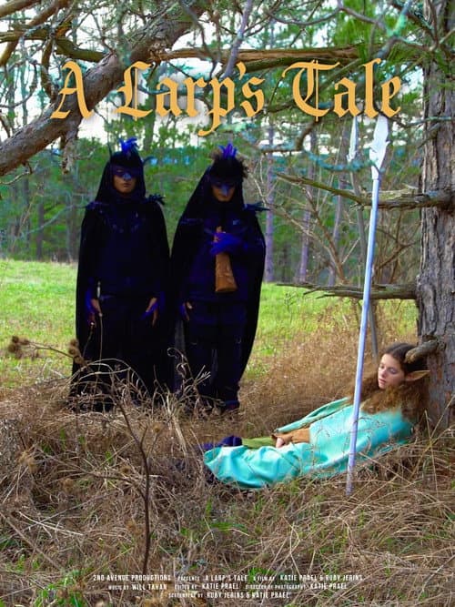 Poster for A Larp's Tale
