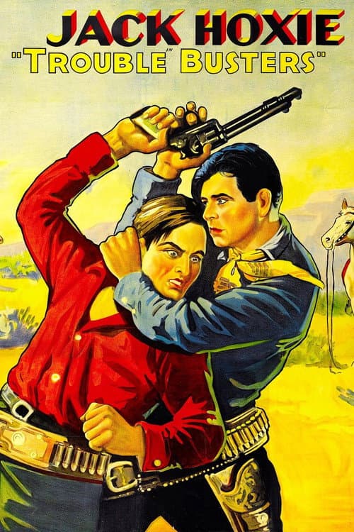 Poster for Trouble Busters