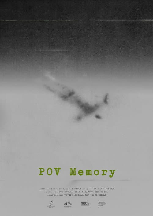 Poster for POV Memory