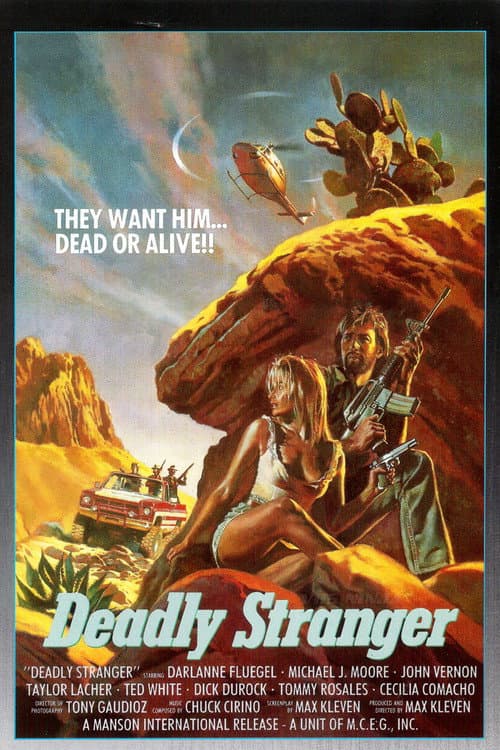 Poster for Deadly Stranger