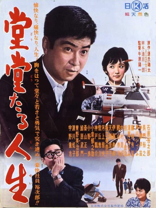 Poster for A Bold Life