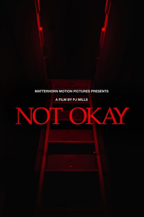 Poster for Not Okay
