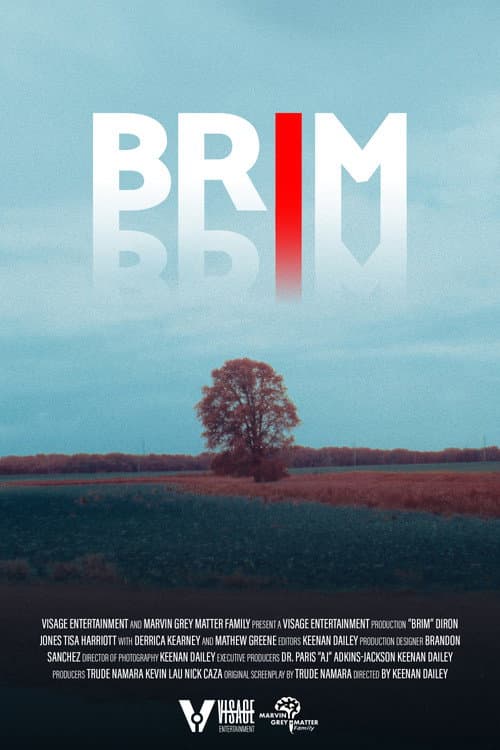 Poster for Brim