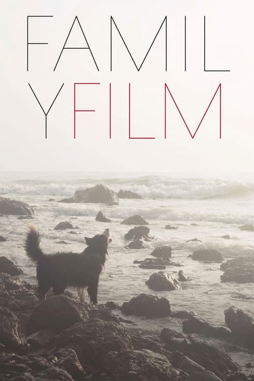 Poster for Family Film
