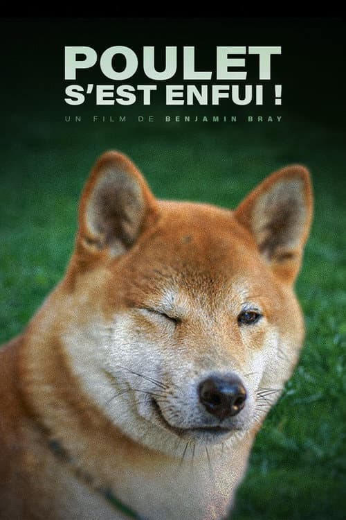 Poster for Poulet Has Escaped!