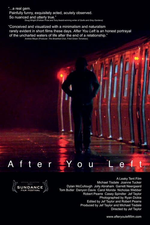 Poster for After You Left