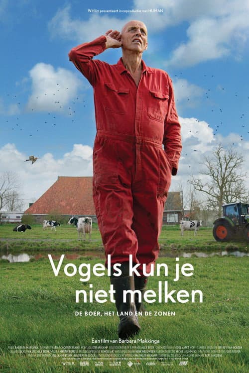 Poster for The Godwit was here
