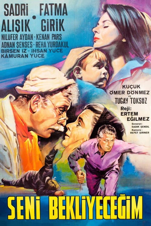 Poster for Seni Bekleyeceğim