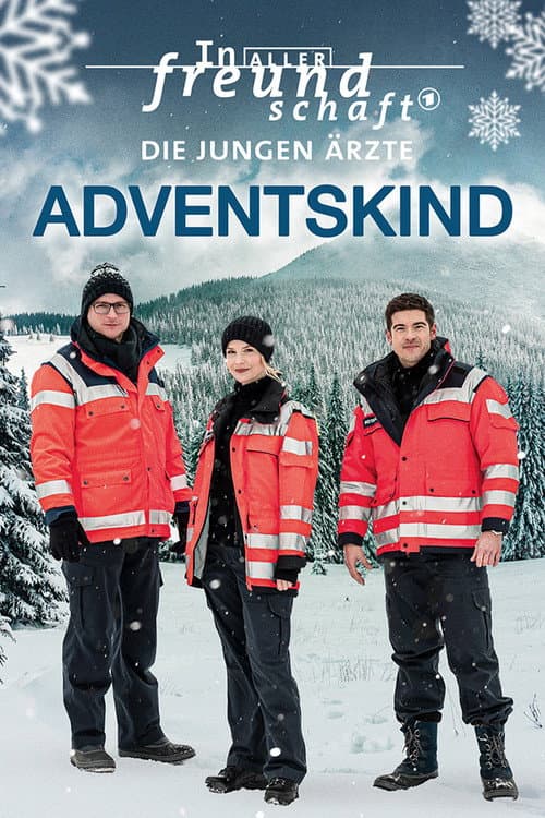 Poster for In aller Freundschaft – Die jungen Ärzte: Adventskind