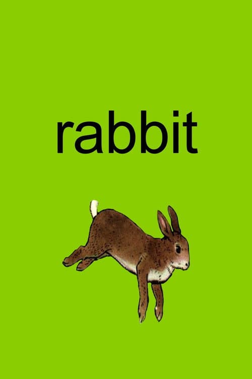 Poster for Rabbit