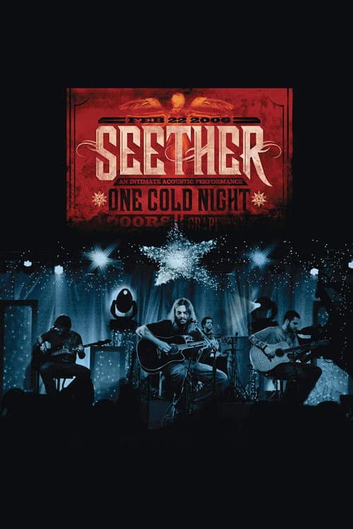Poster for Seether | One Cold Night