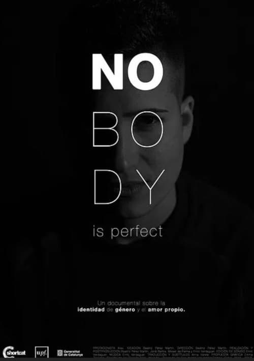 Poster for Nobody Is Perfect