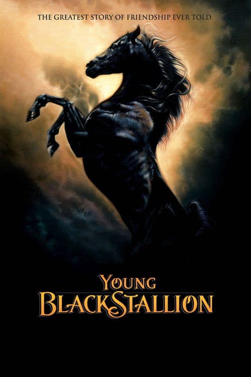 Poster for Young Black Stallion