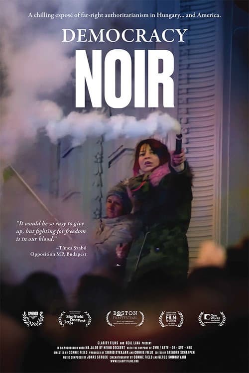 Poster for Democracy Noir