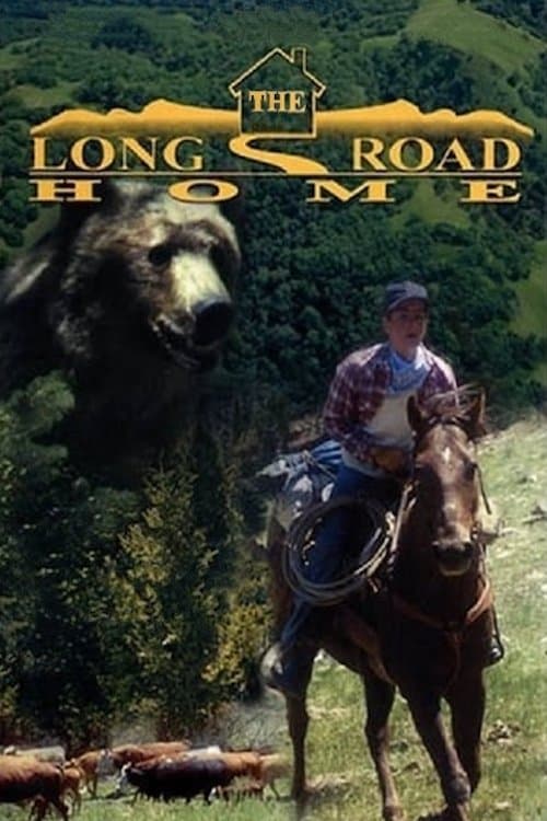 Poster for The Long Road Home