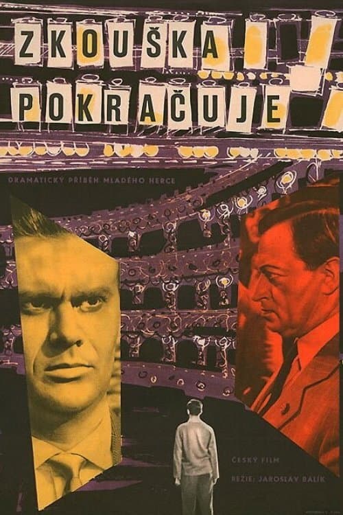 Poster for Zkouška pokračuje