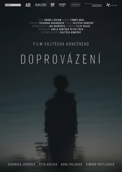 Poster for Doprovázení