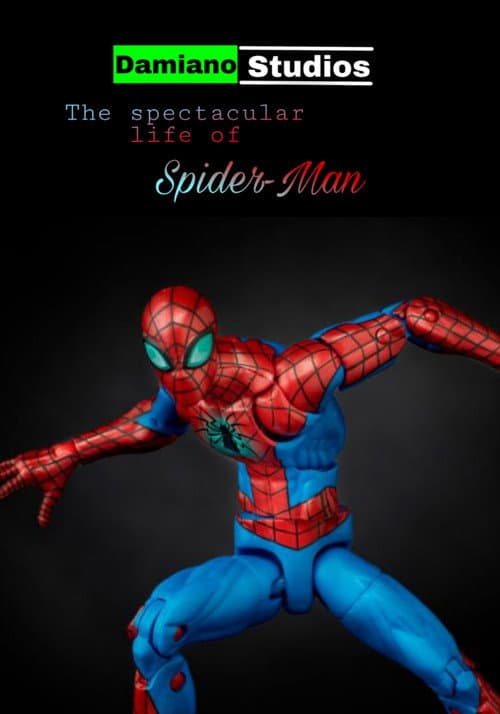 Poster for The Spectacular Life Of Spider-Man