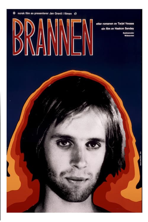 Poster for The Fire