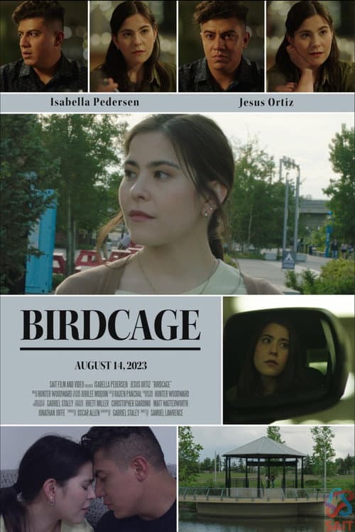 Poster for Birdcage