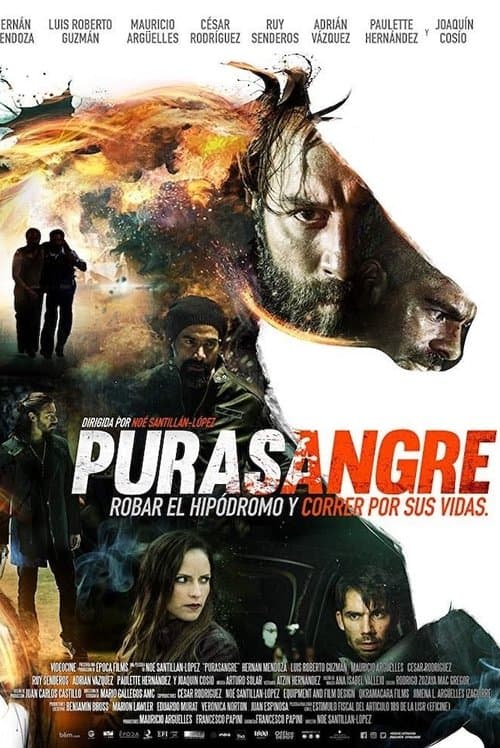 Poster for Thoroughbred