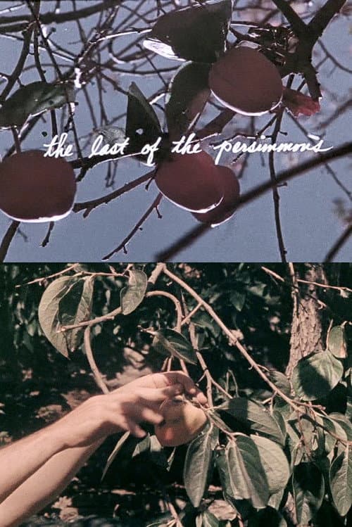 Poster for The Last of the Persimmons