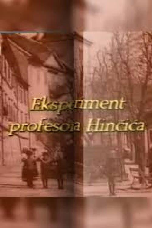 Постер до фільму «The Experiment of Professor Hincic»