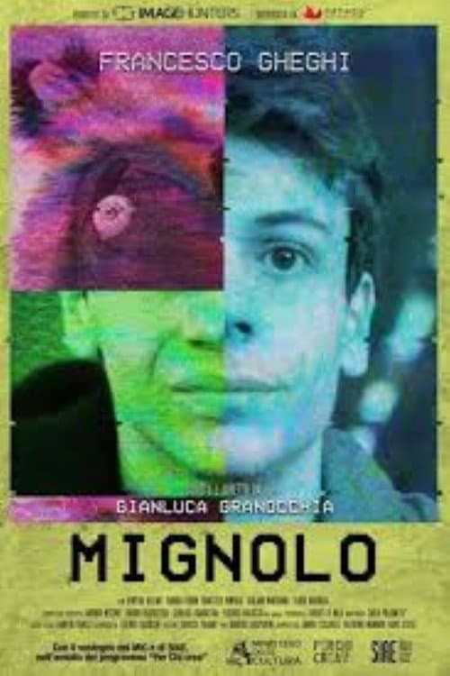 Poster for Mignolo