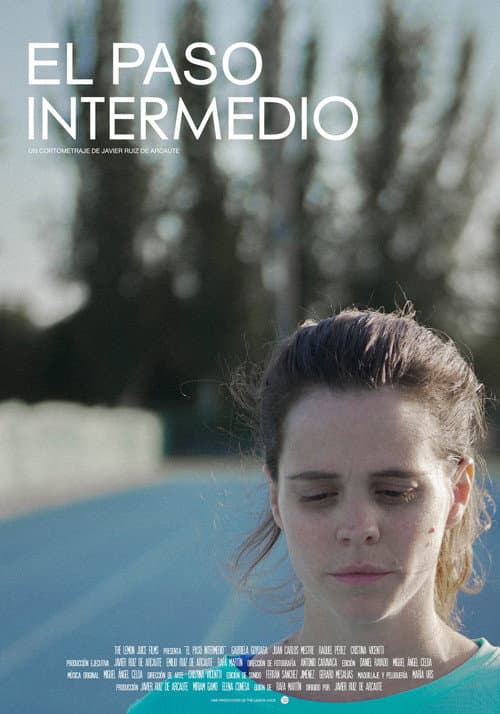 Poster for The Intermediate Step