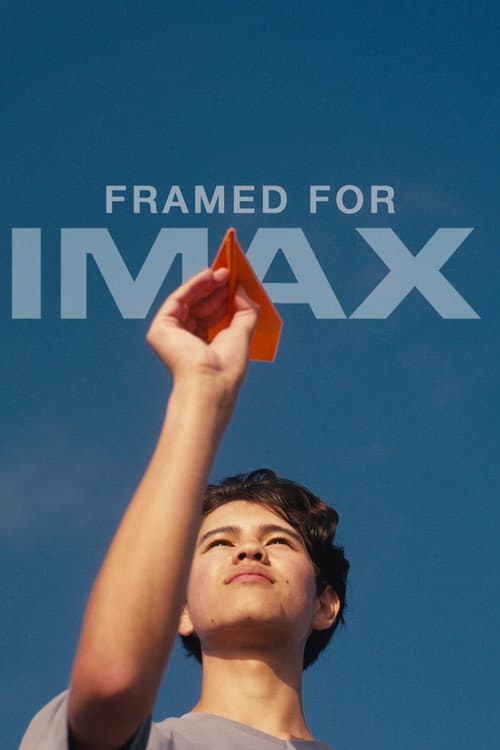 Poster for How to Fly