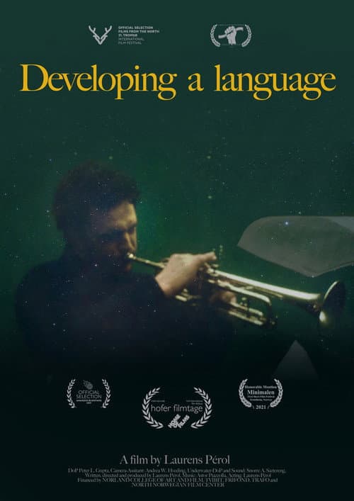 Poster for Developing a Language