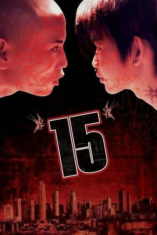 Poster for 15