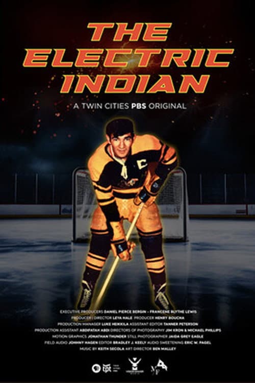 Poster for The Electric Indian