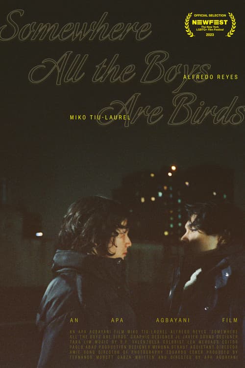 Poster for Somewhere all the boys are birds