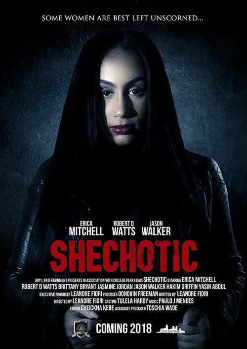 Poster for SheChotic