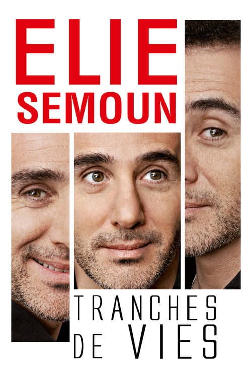 Poster for Elie Semoun : Tranches de vies