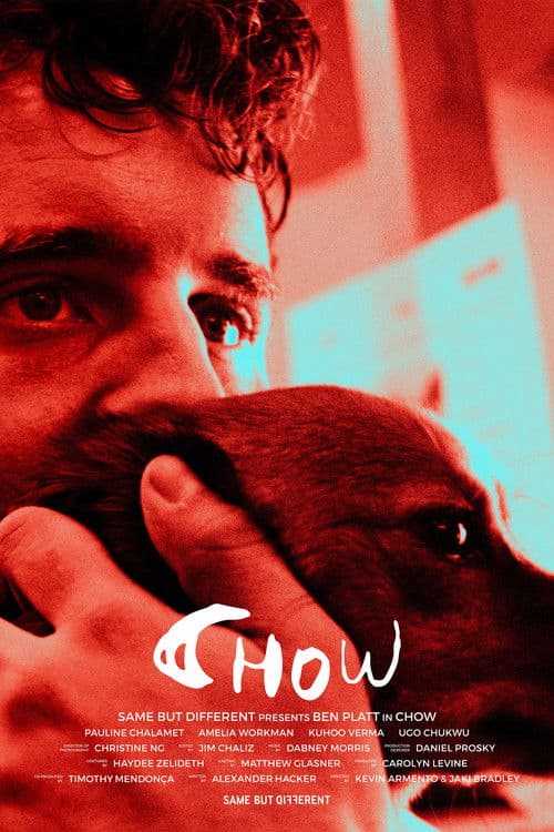 Poster for Chow