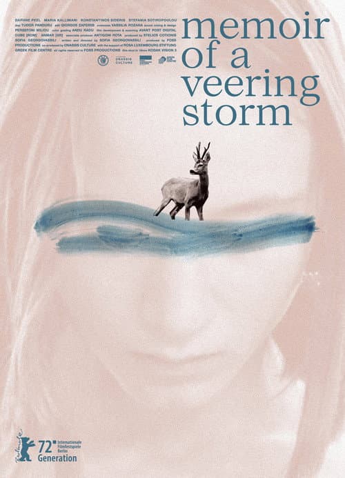 Poster for Memoir of a Veering Storm