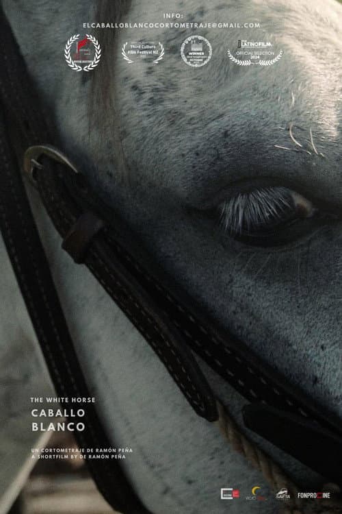 Poster for The White Horse